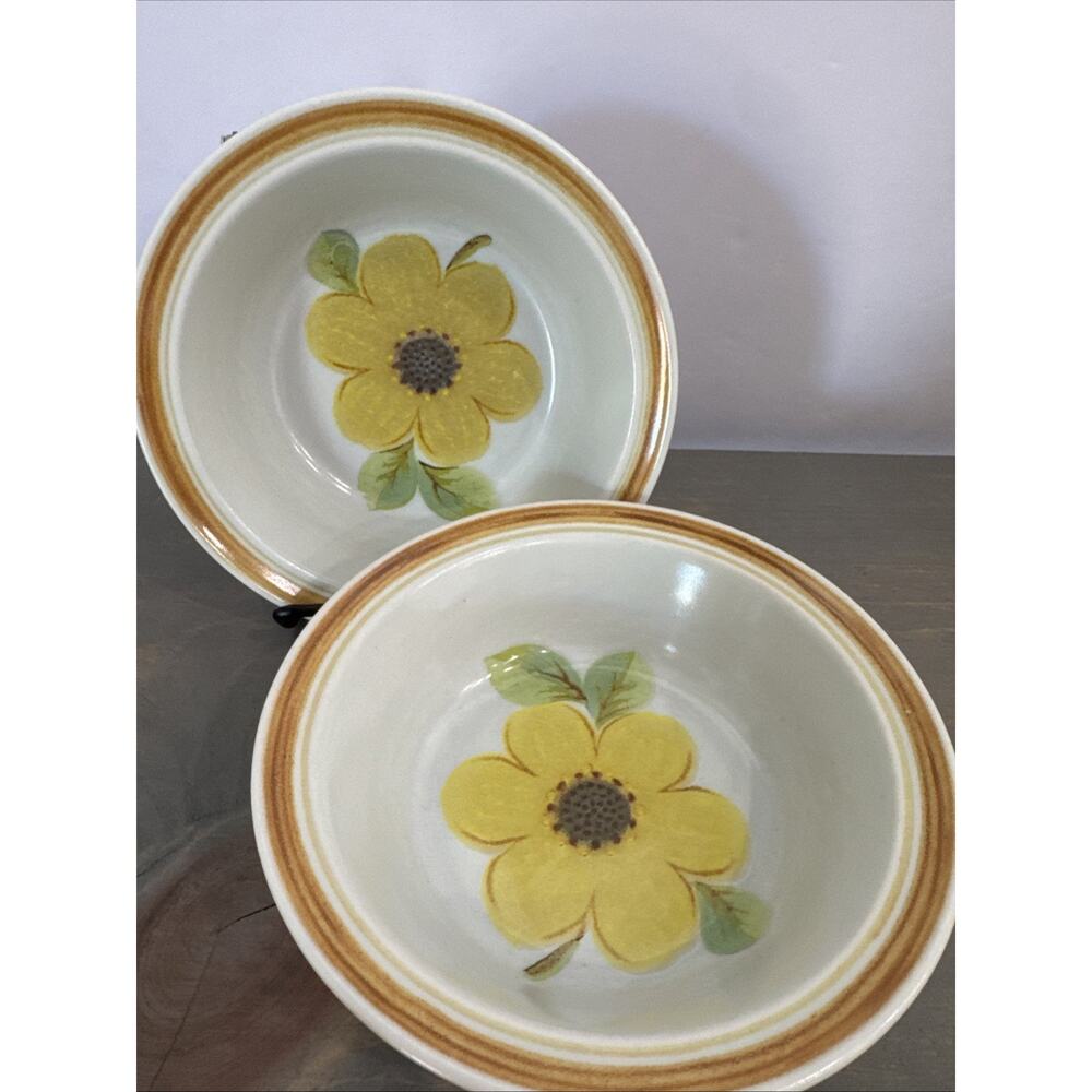 Royal Doulton ‘Summer Days’ Lambeth Stoneware Dessert Bowl Set Of 2 England 1973